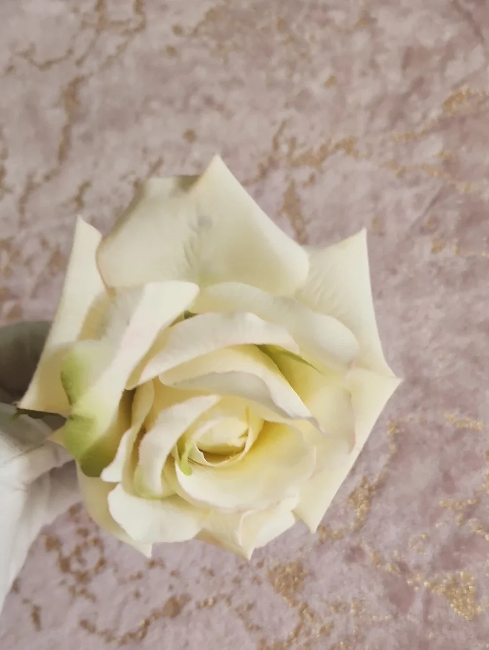 HAIR CLIP | Ivory Artificial Rose Hair Clip - Picture 11 of 15